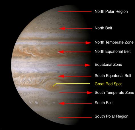jupiter bet